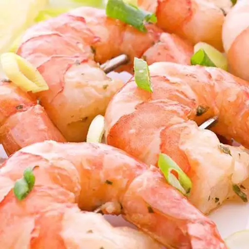 shrimp
