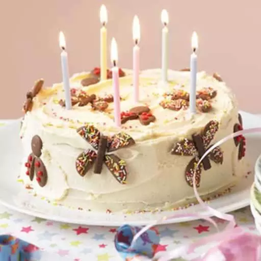 Birthday Bug Cake