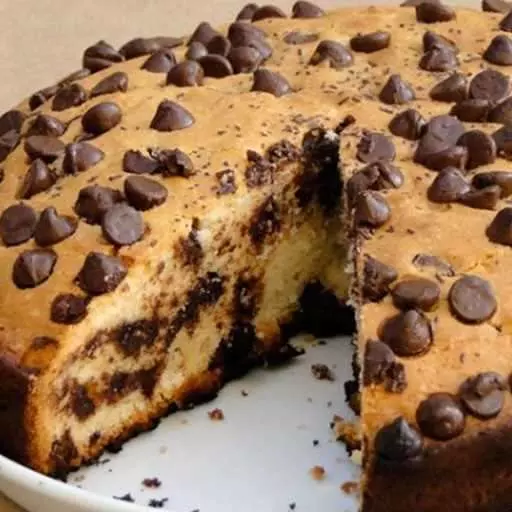 Chocolate Chip Cake