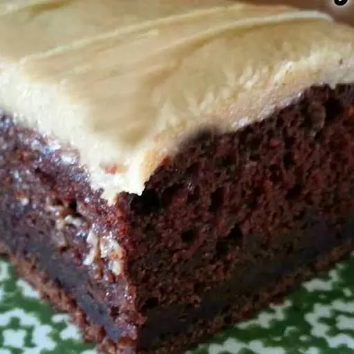 Chocolate Mayo Cake with Peanut Butter Frosting