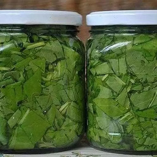 Щавель консервированный