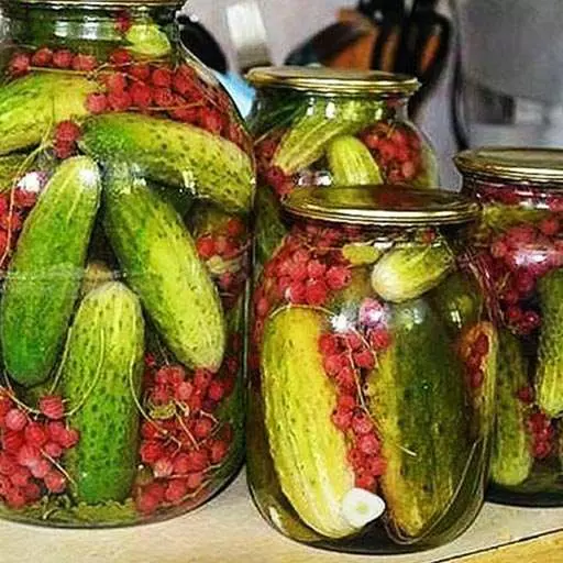 Маринованные огурцы с красной смородиной