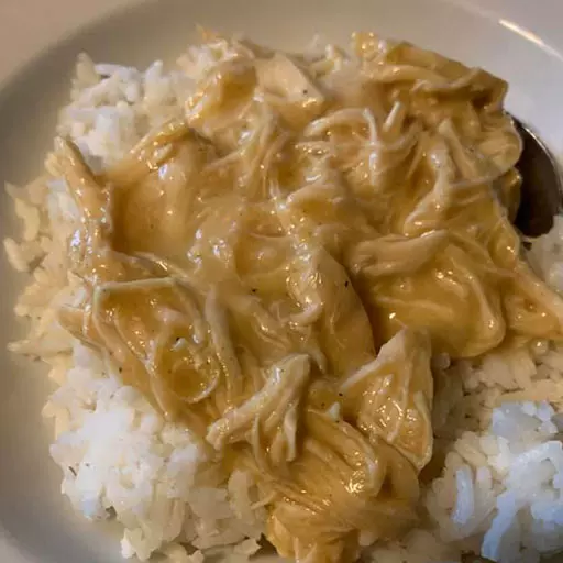 Chicken & Gravy